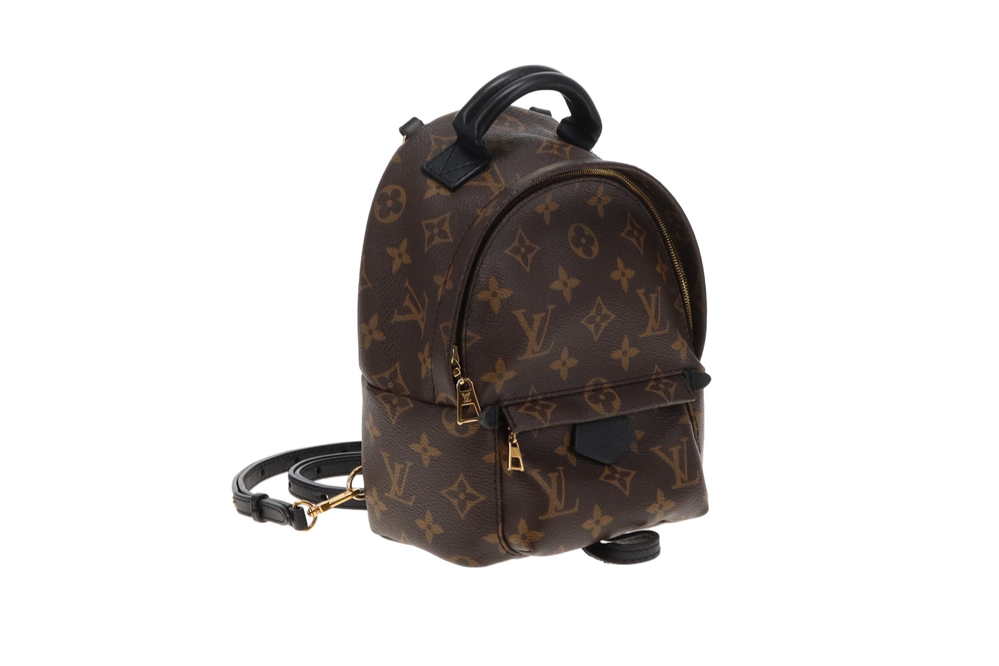 Louis Vuitton Monogram Mini Palm Springs Backpack