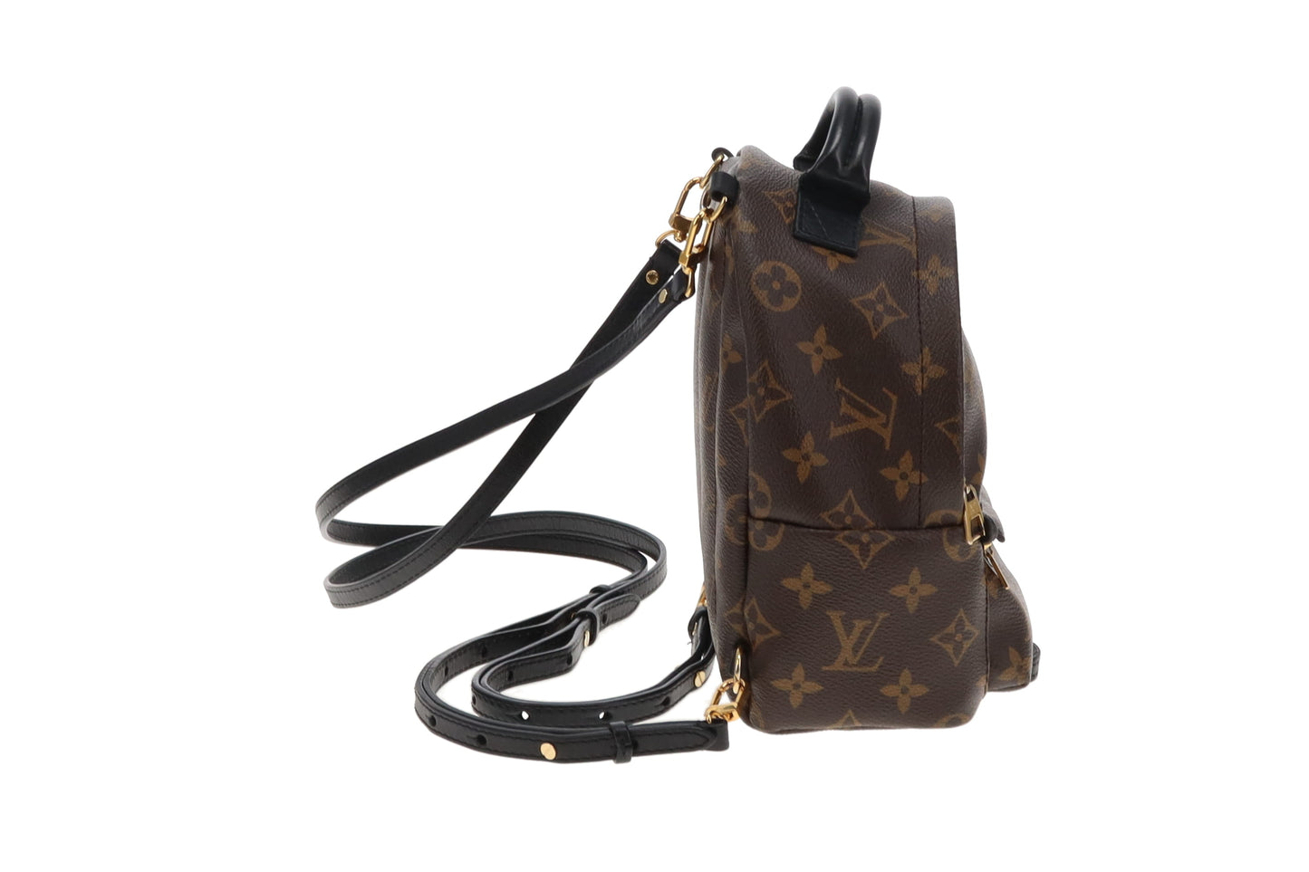 Louis Vuitton Monogram Mini Palm Springs Backpack
