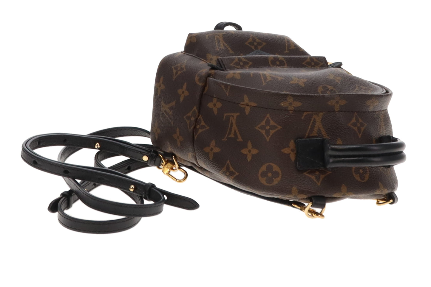 Louis Vuitton Monogram Mini Palm Springs Backpack