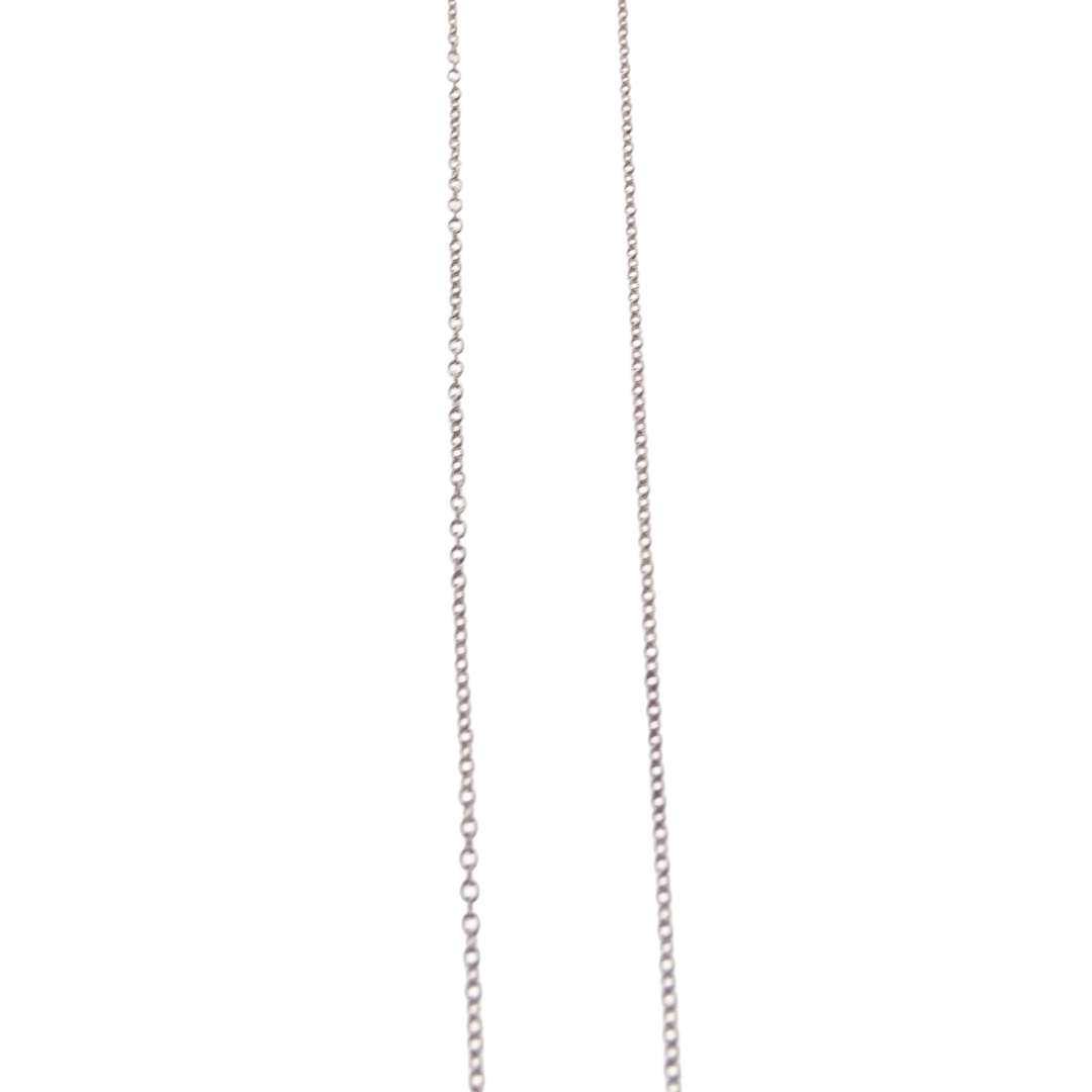 Tiffany & Co 925 Sterling Silver 1837 Interlocking Circles Pendant