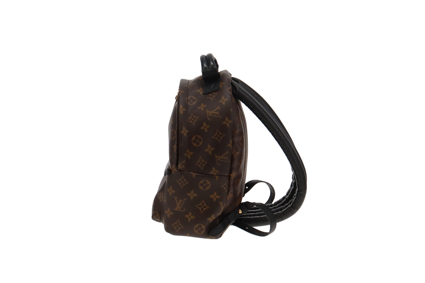 Louis Vuitton Monogram Palm Springs PM Backpack PL2116