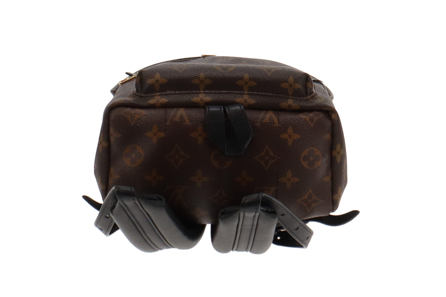 Louis Vuitton Monogram Palm Springs PM Backpack PL2116