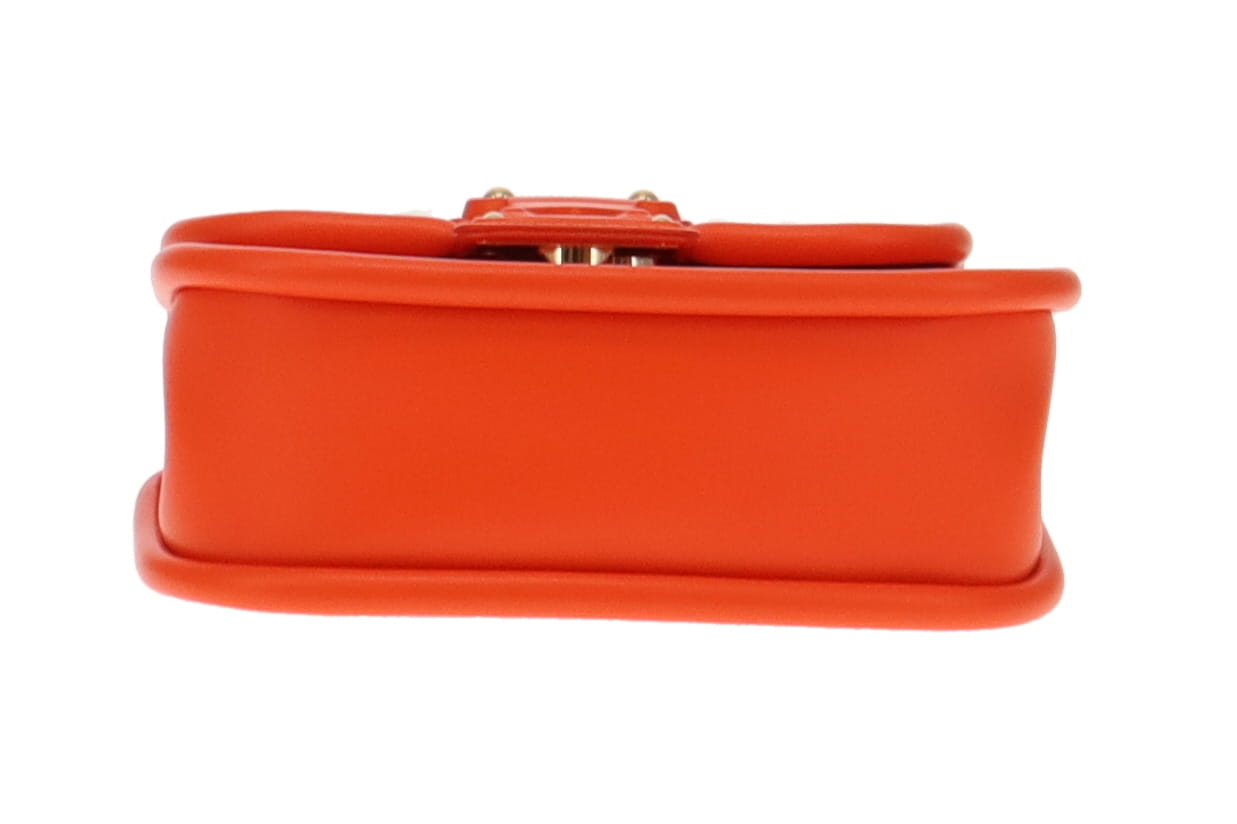 Louis Vuitton Hide & Seek Orange Minnesota