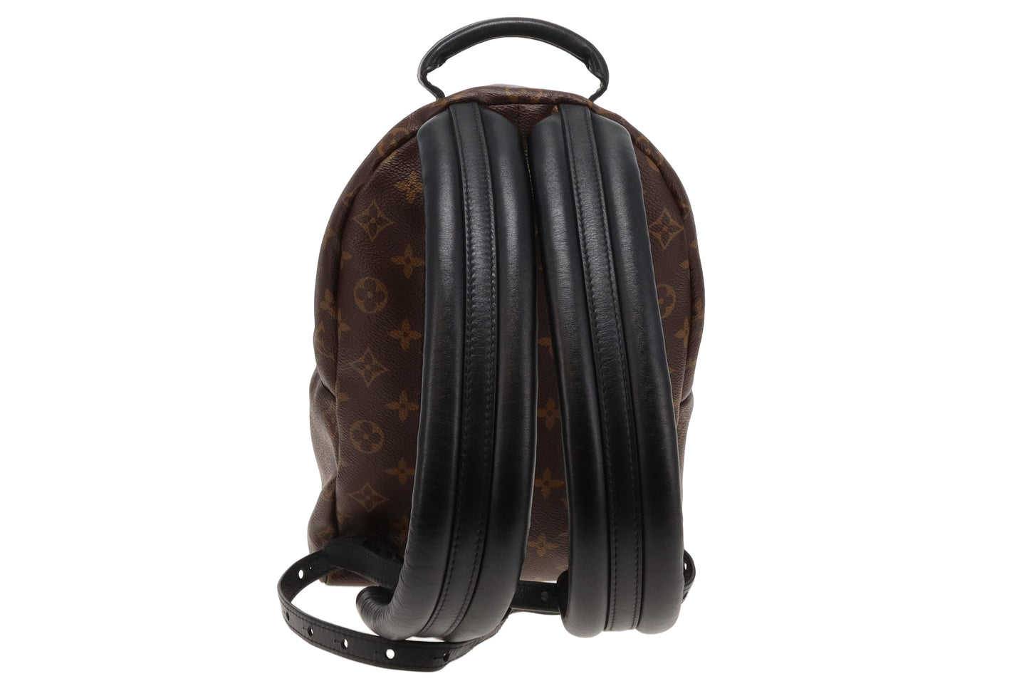 Louis Vuitton Palm Springs Reverse Monogram PM Backpack FL2136
