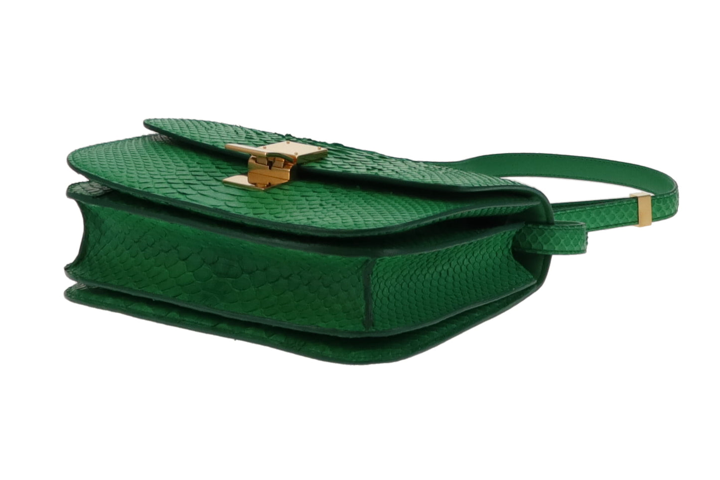Celine Grass Green Medium Python Box Bag