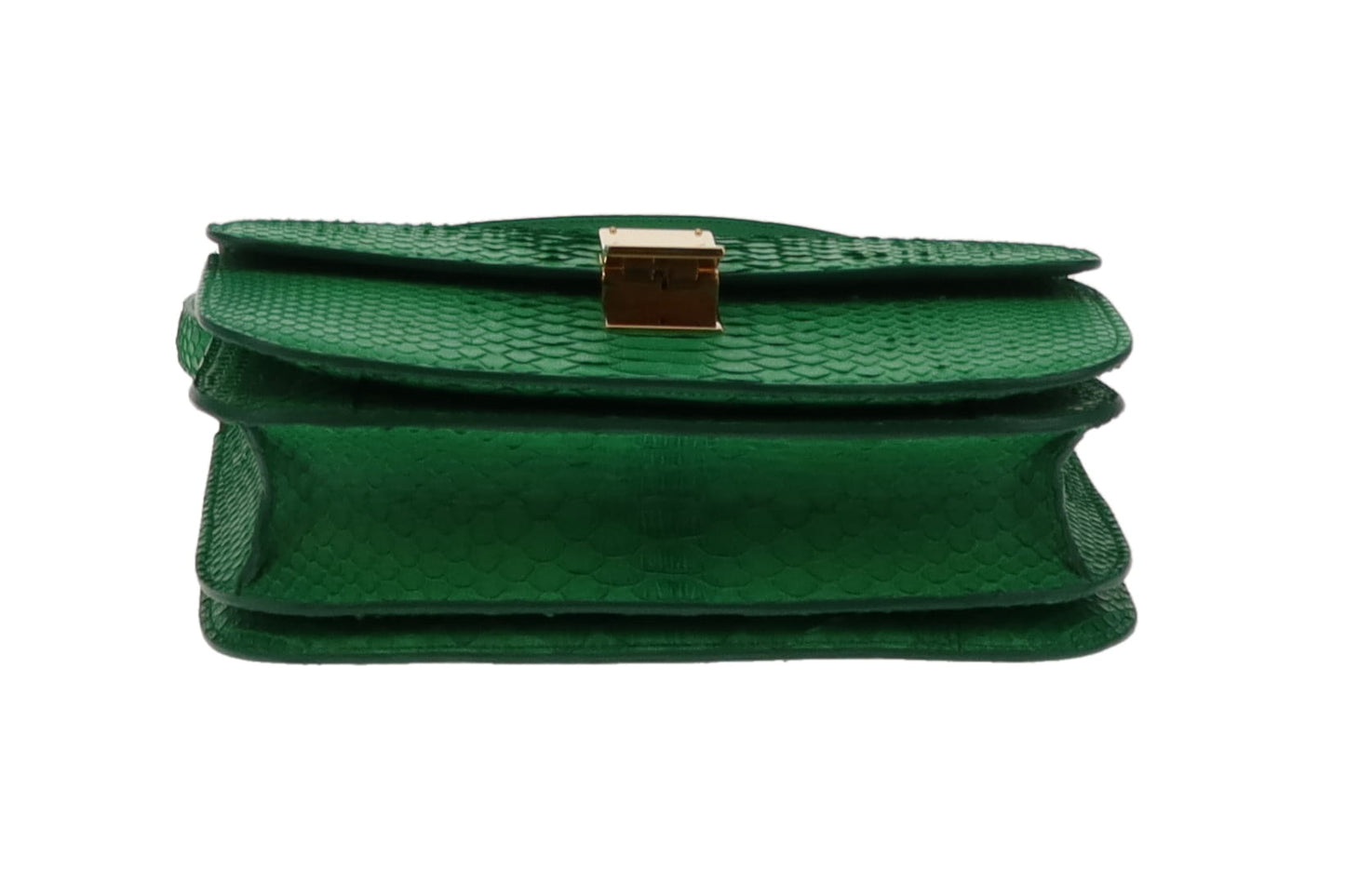 Celine Grass Green Medium Python Box Bag