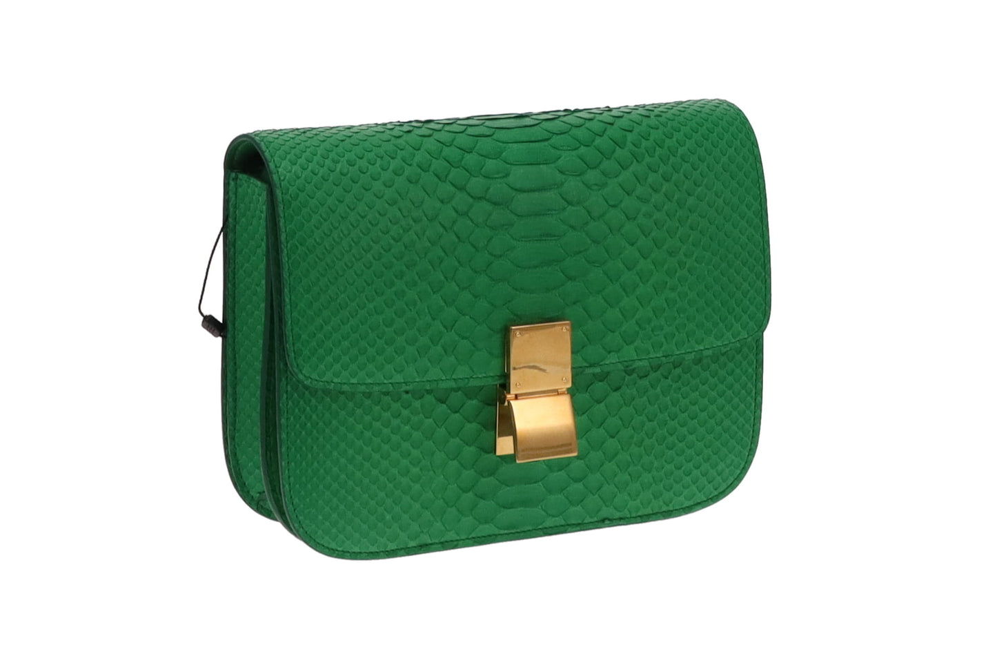 Celine Grass Green Medium Python Box Bag