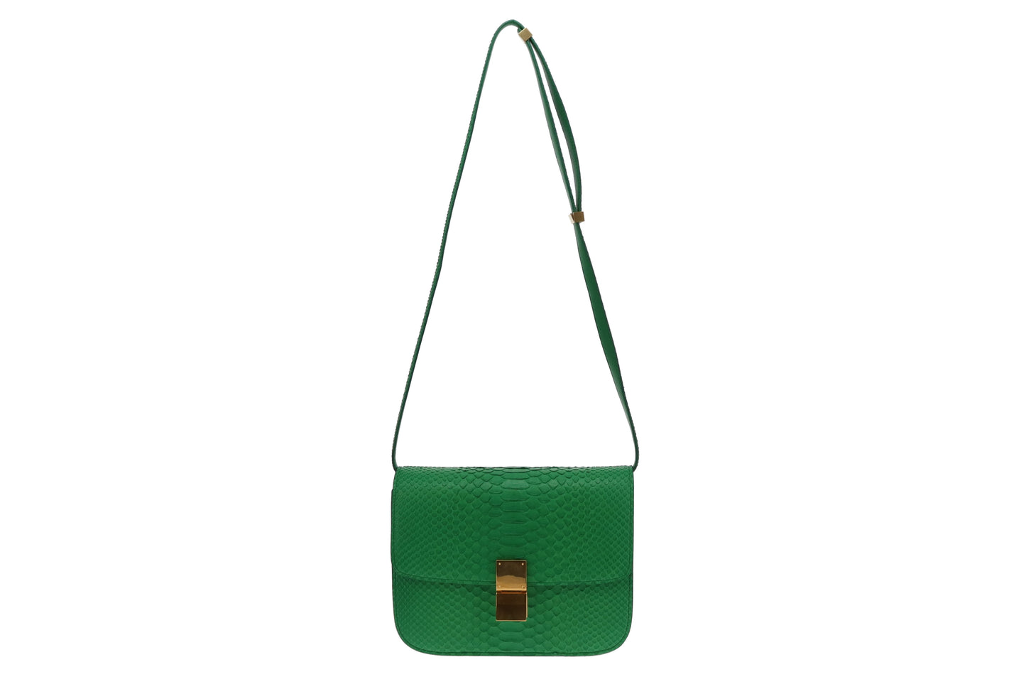 Celine Grass Green Medium Python Box Bag