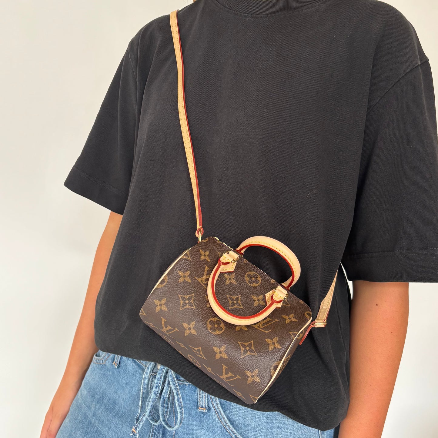 Louis Vuitton Nano Speedy Monogram TY3270