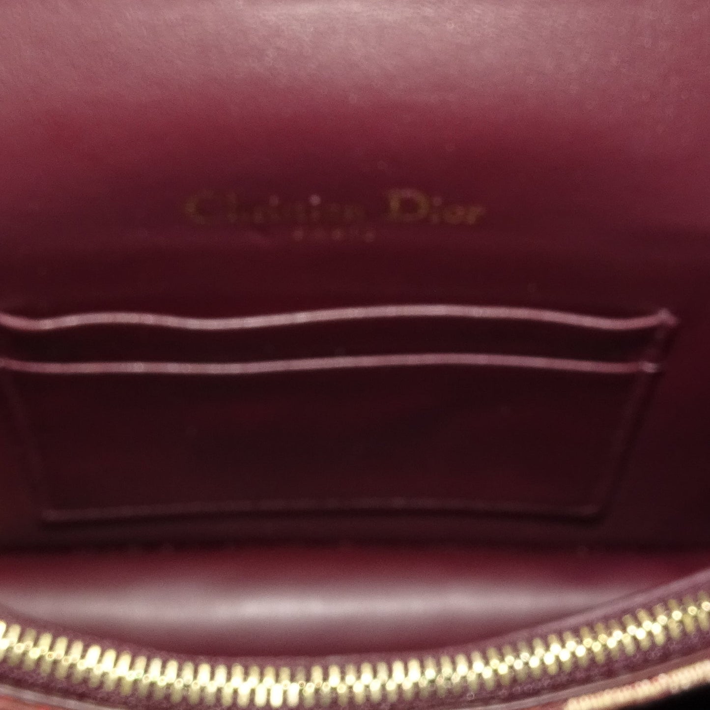 Dior Saddle Rectangle Belt Pouch Red Oblique 2019