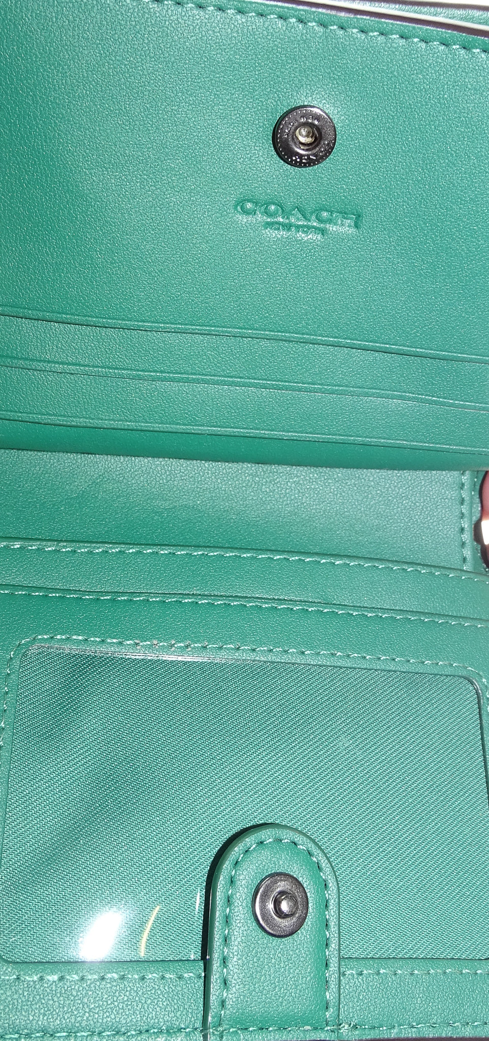 Coach Snap Wallet In Mystical Floral Print Green
