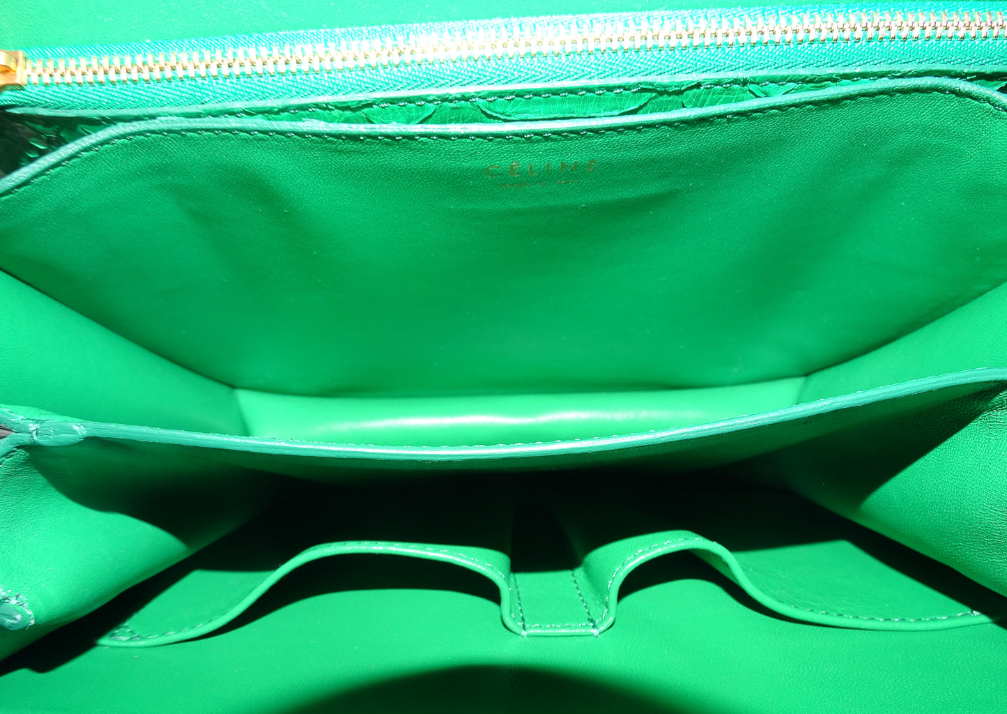 Celine Grass Green Medium Python Box Bag