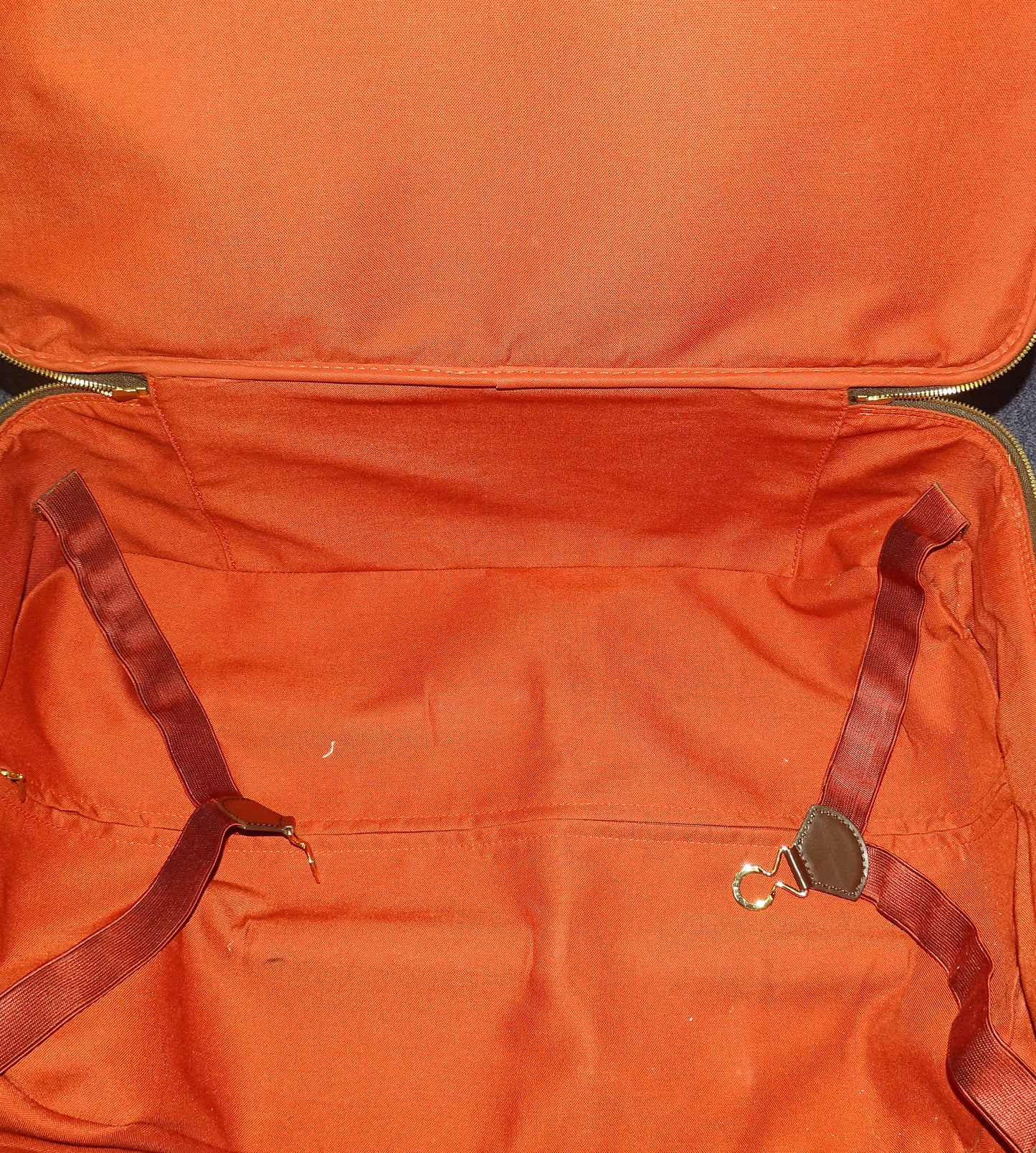 Louis Vuitton Pegase 55 Rolling Luggage Damier Ebene