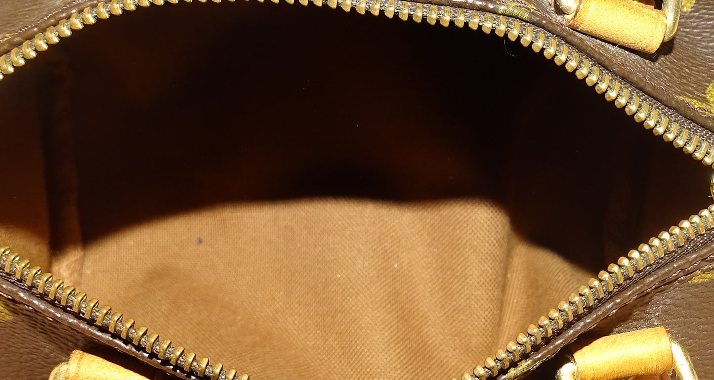 Louis Vuitton Nano Speedy Vintage Monogram TH0022