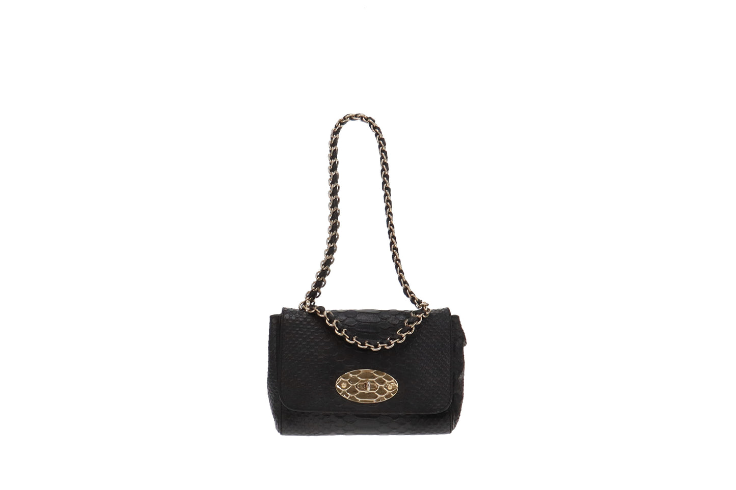 Mulberry Silky Snake Cecily Black