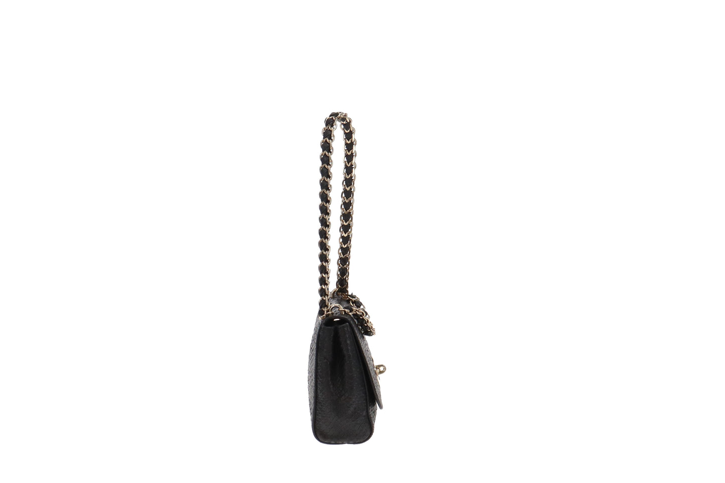 Mulberry Silky Snake Cecily Black