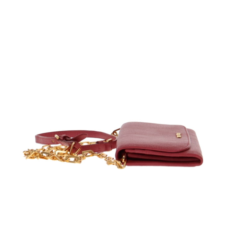 Miu Miu Madra Bruyere Chain Wallet (2)