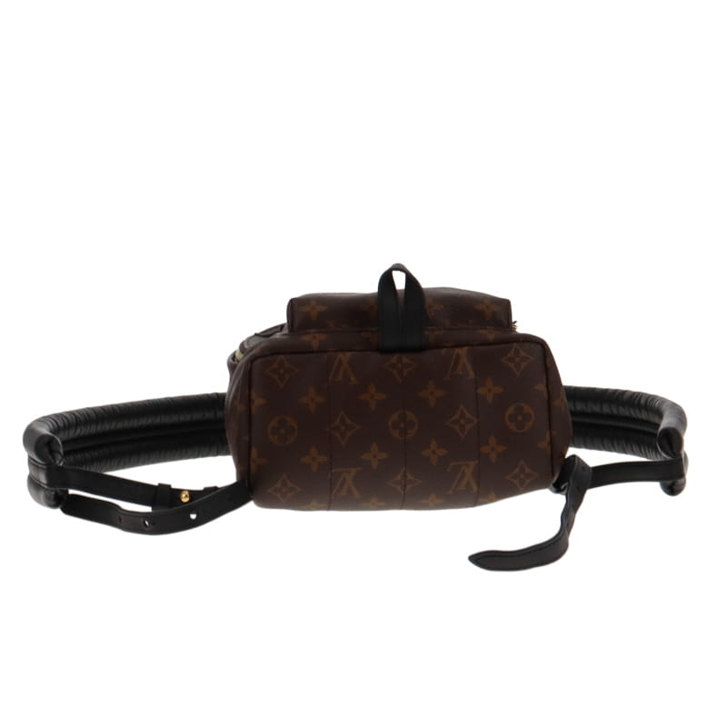 Louis Vuitton Palm Springs PM Monogram FL5109 RRP €1960