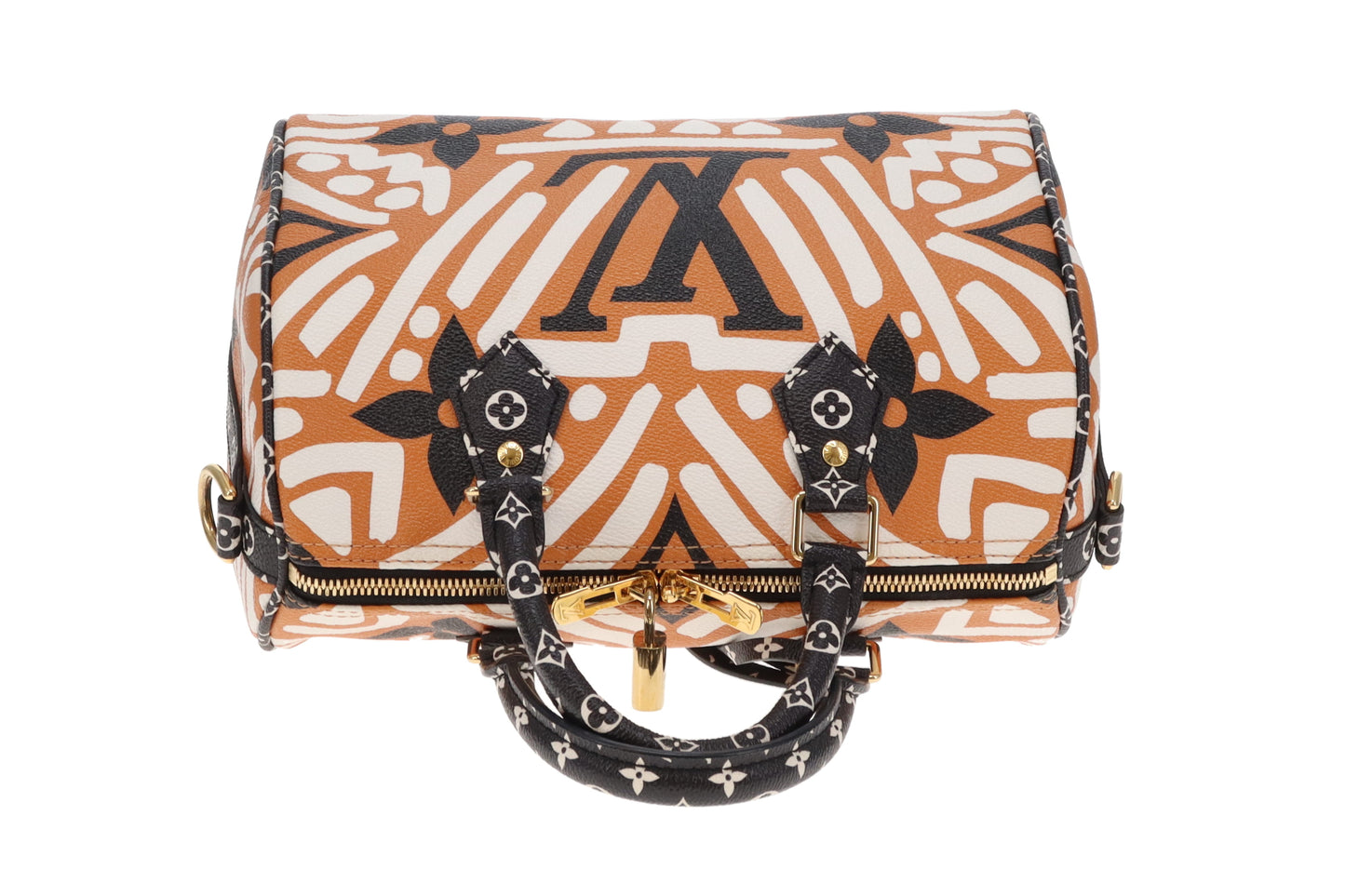 Louis Vuitton Speedy 25 Crafty Bandouliere (NFID)