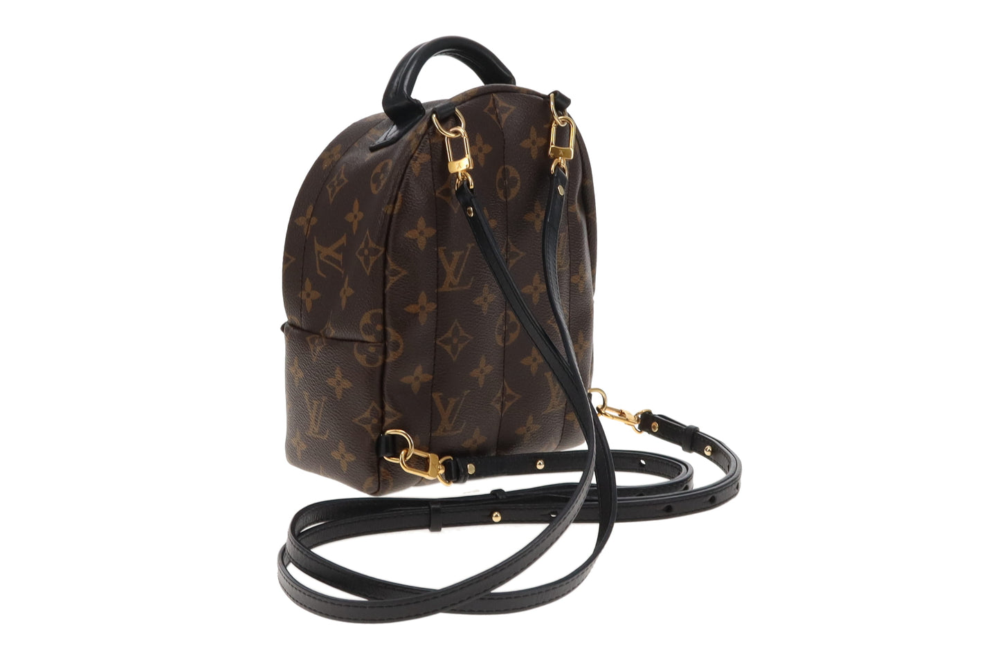 Louis Vuitton Monogram Mini Palm Springs Backpack