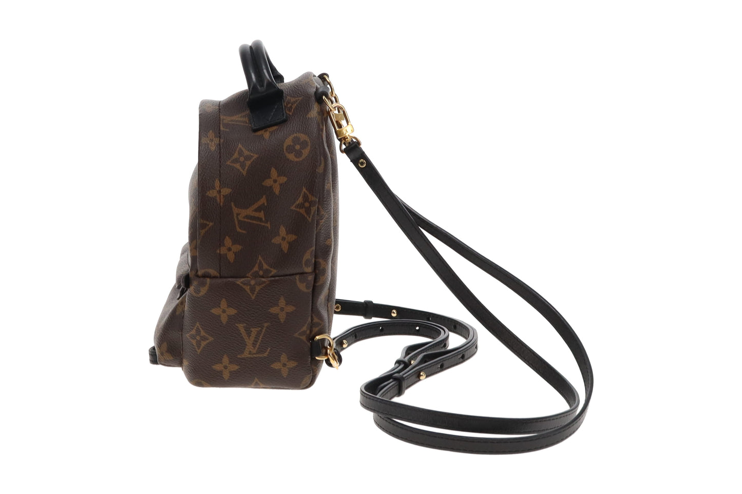 Louis Vuitton Monogram Mini Palm Springs Backpack