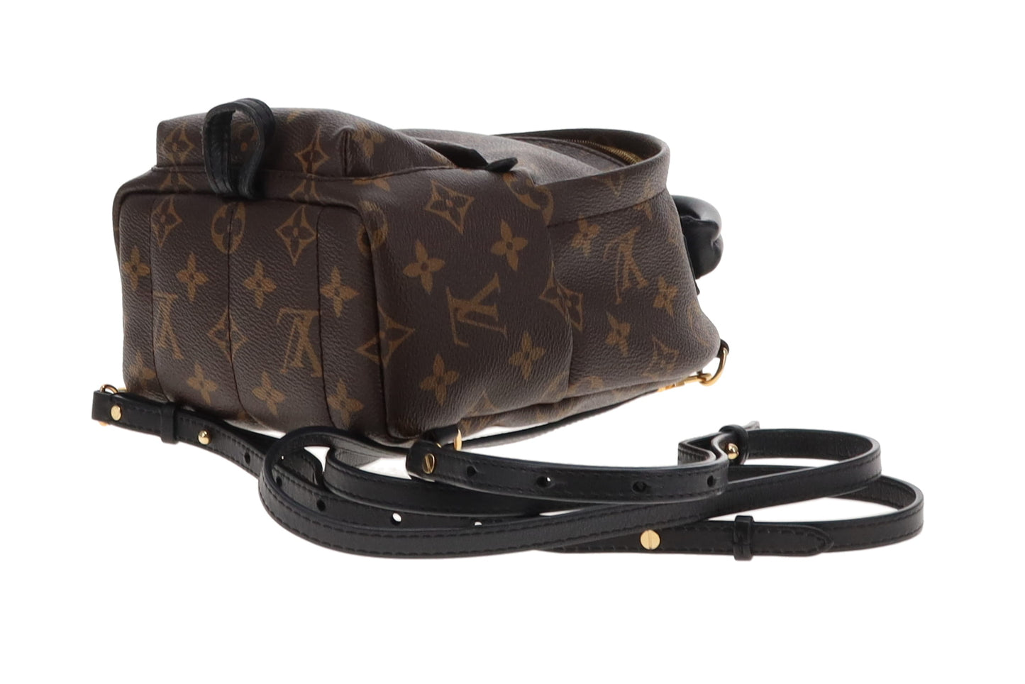 Louis Vuitton Monogram Mini Palm Springs Backpack