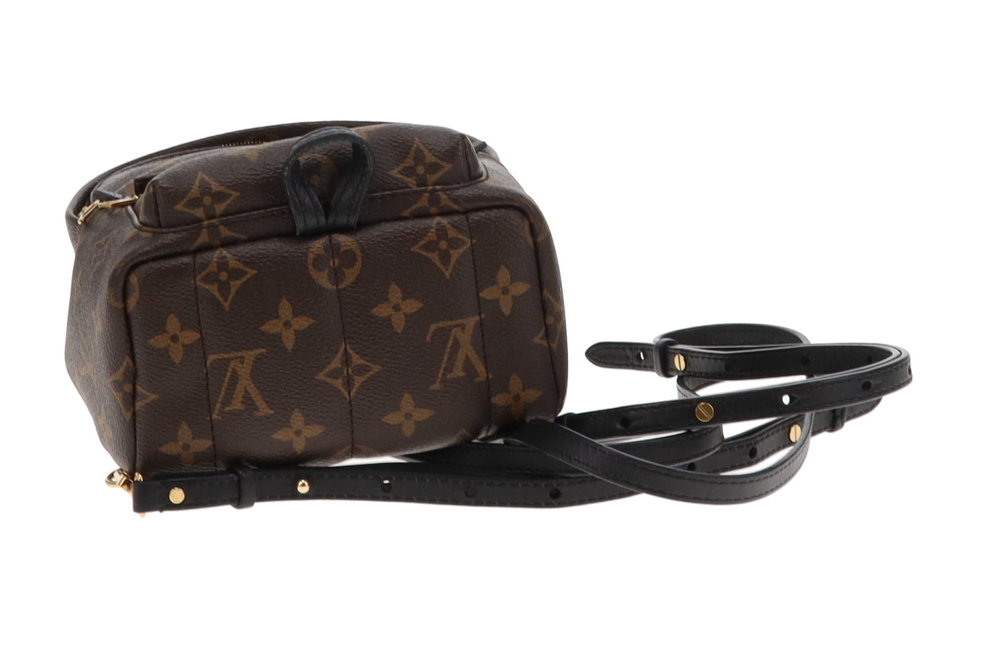 Louis Vuitton Monogram Mini Palm Springs Backpack