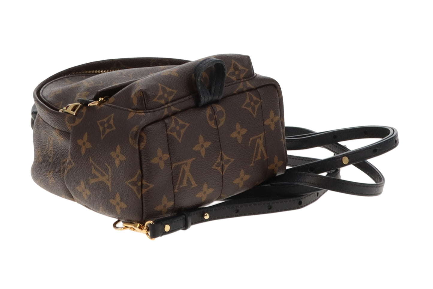 Louis Vuitton Monogram Mini Palm Springs Backpack