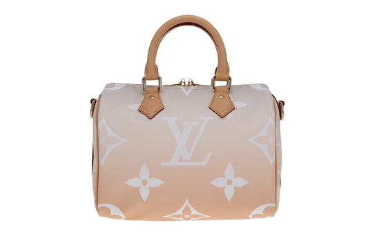 Louis Vuitton Speedy Bandouliere 25 Brume By The Pool