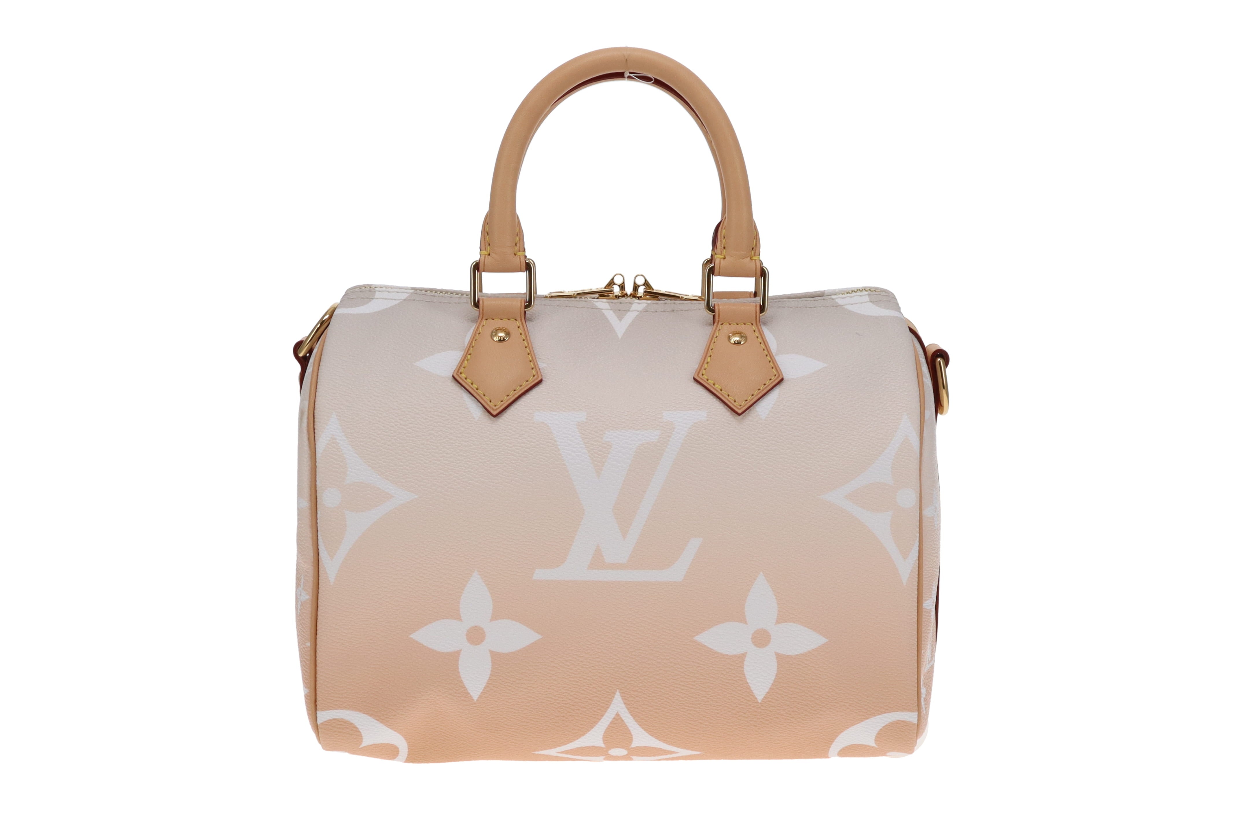 Louis Vuitton Ltd Ed Brume By The Pool Speedy Bandouliere 25 – Designer  Exchange Ltd