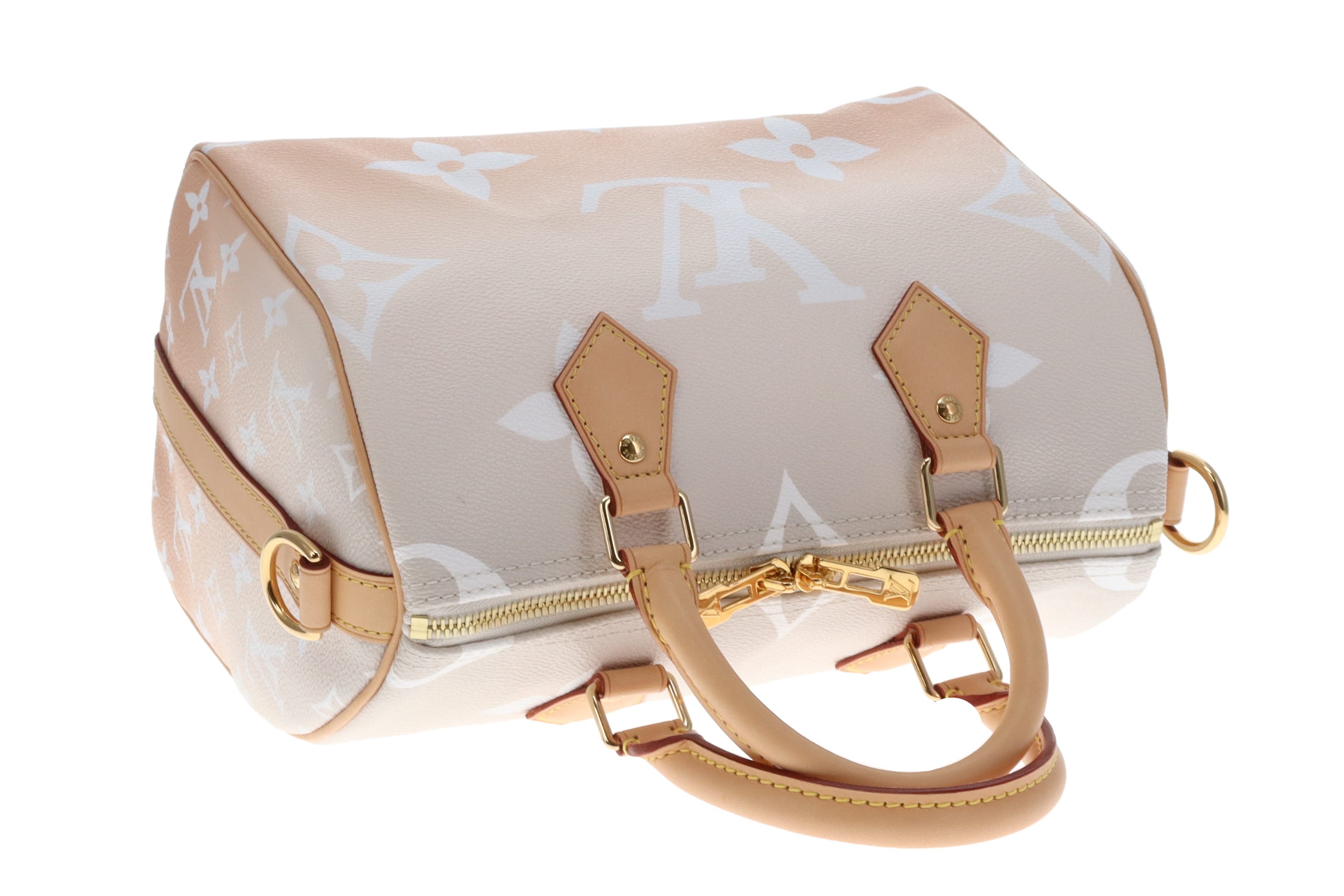 Louis Vuitton Ltd Ed Brume By The Pool Speedy Bandouliere 25 – Designer  Exchange Ltd