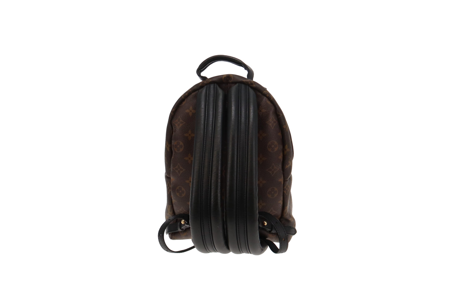 Louis Vuitton Monogram Palm Springs PM Backpack PL2116