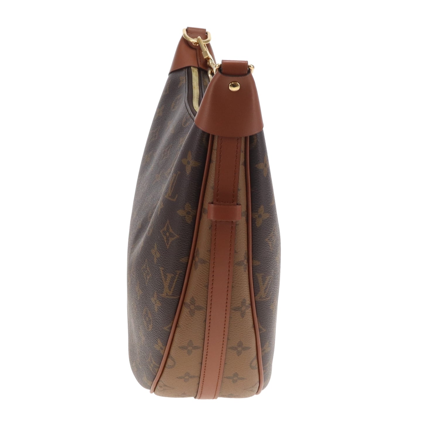 Louis Vuitton Loop Hobo Monogram and Reverse Monogram (NFID)