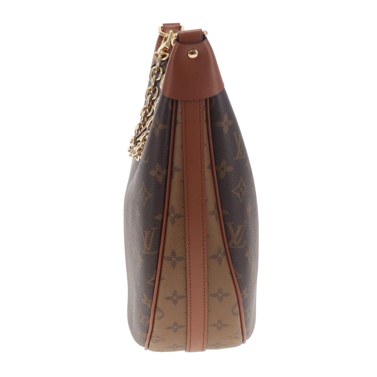 Louis Vuitton Loop Hobo Monogram and Reverse Monogram (NFID)