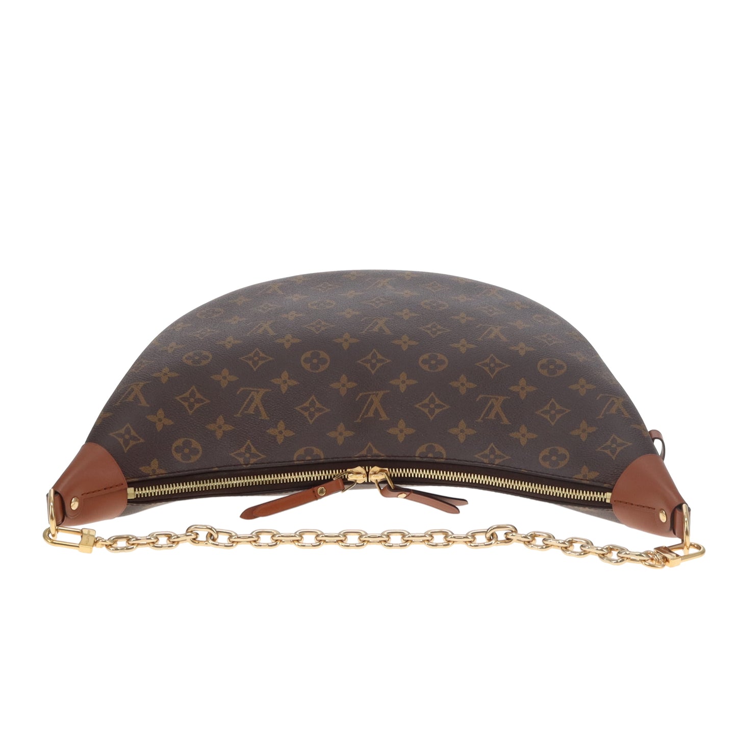Louis Vuitton Loop Hobo Monogram and Reverse Monogram (NFID)