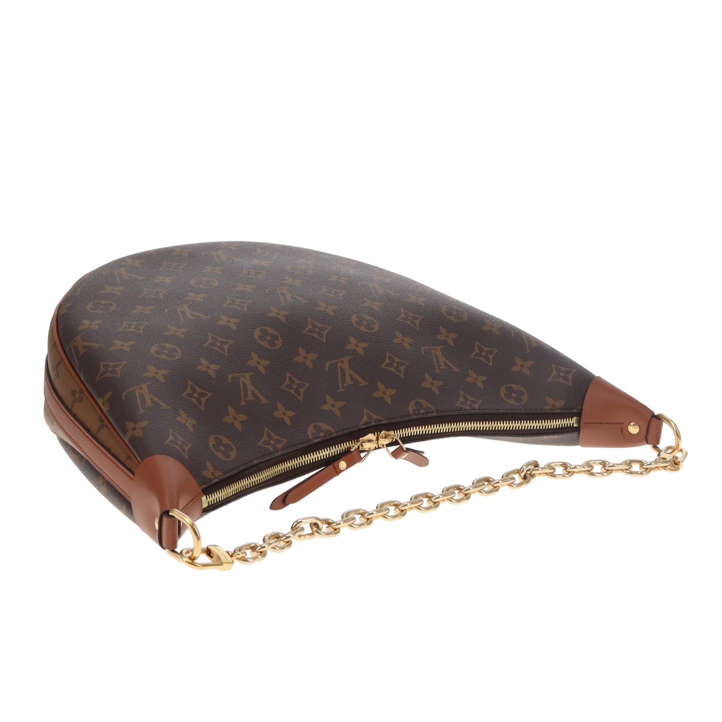 Louis Vuitton Loop Hobo Monogram and Reverse Monogram (NFID)
