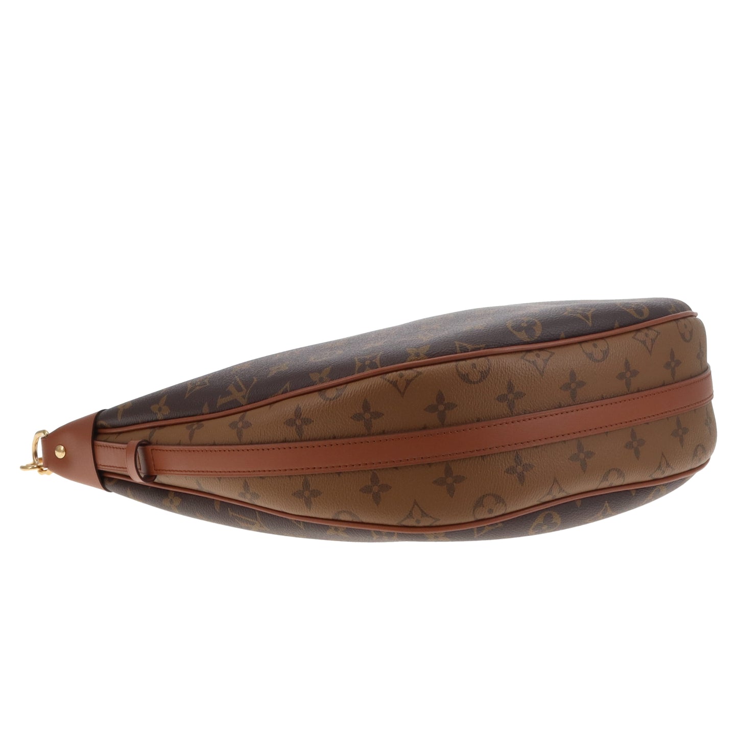 Louis Vuitton Loop Hobo Monogram and Reverse Monogram (NFID)