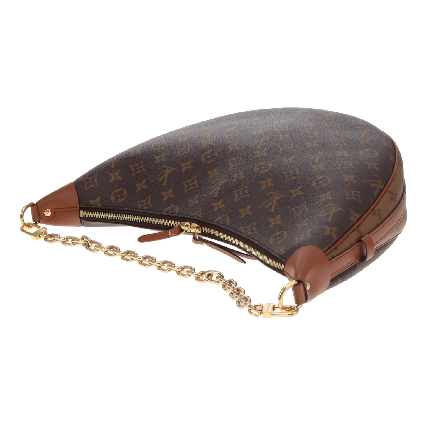 Louis Vuitton Loop Hobo Monogram and Reverse Monogram (NFID)