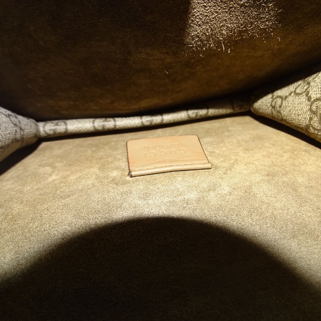 Gucci Dionysus Mini Square GG Supreme and Beige