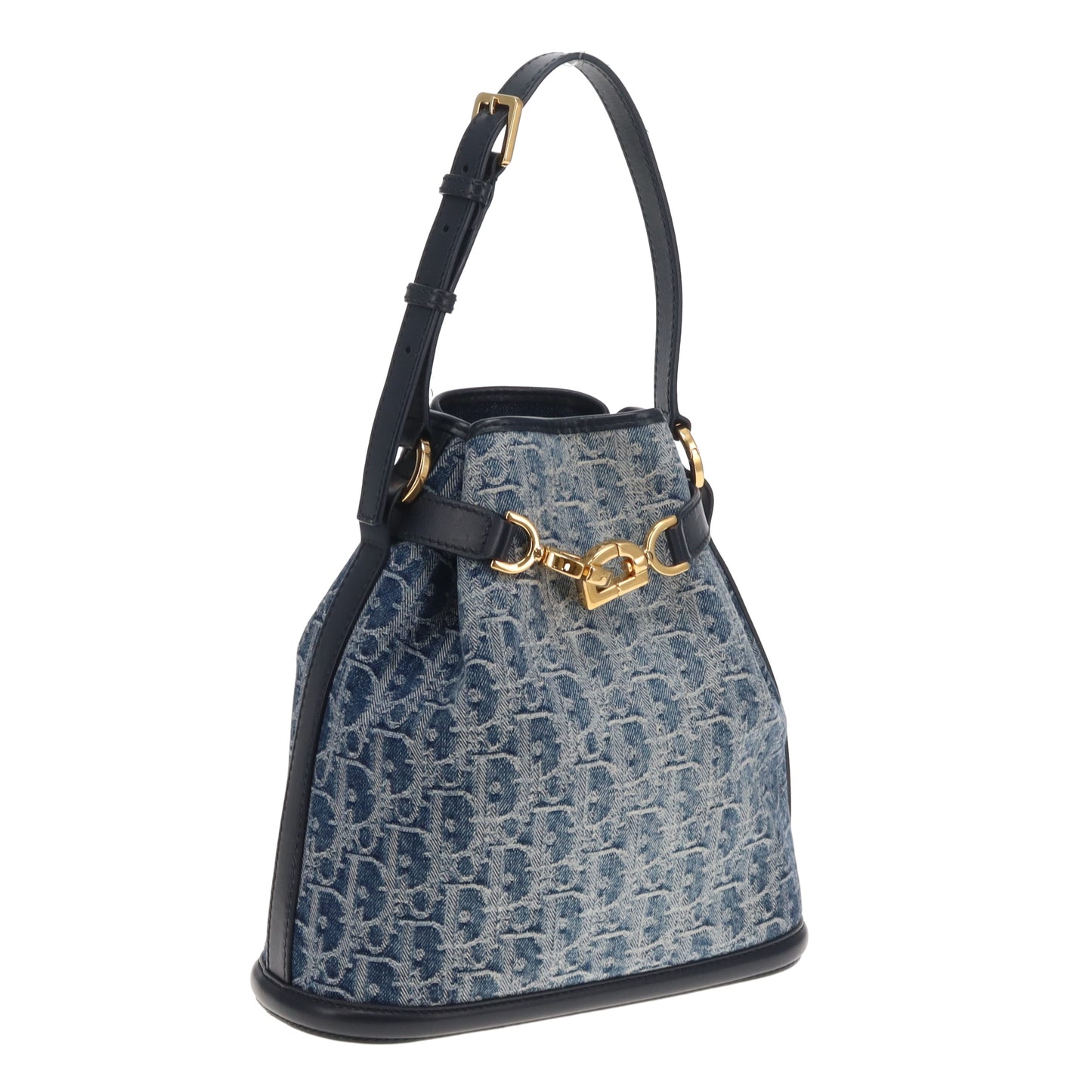 Dior C'est Dior Bucket Bag Blue Oblique 2024