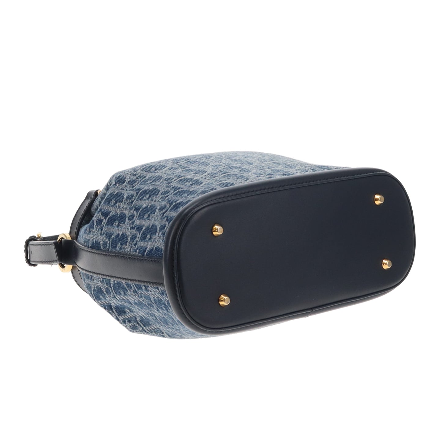 Dior C'est Dior Bucket Bag Blue Oblique 2024