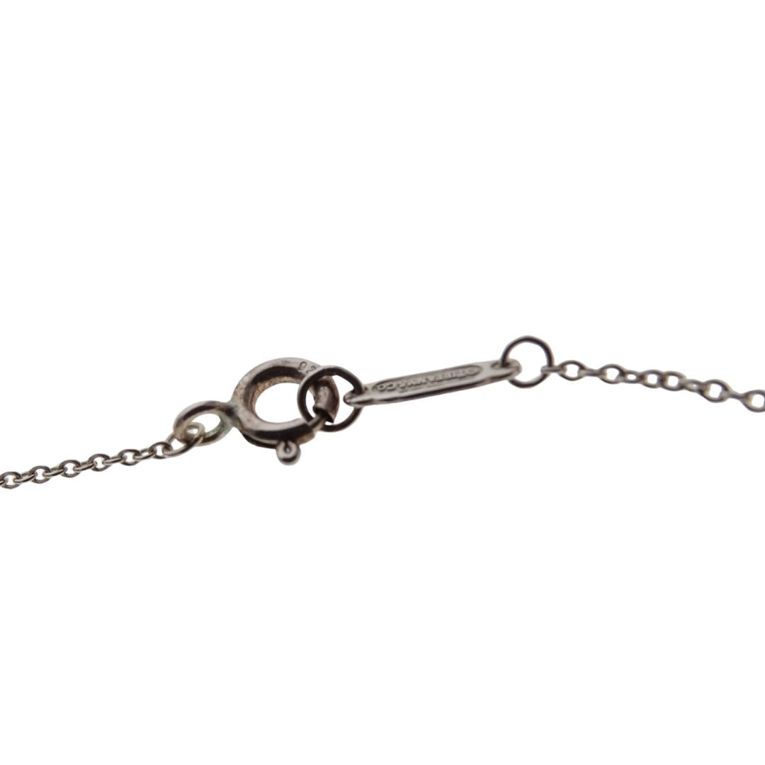 Tiffany & Co RTT Heart Necklace on Chain