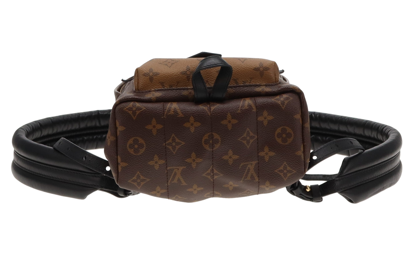 Louis Vuitton Palm Springs Reverse Monogram PM Backpack FL2136