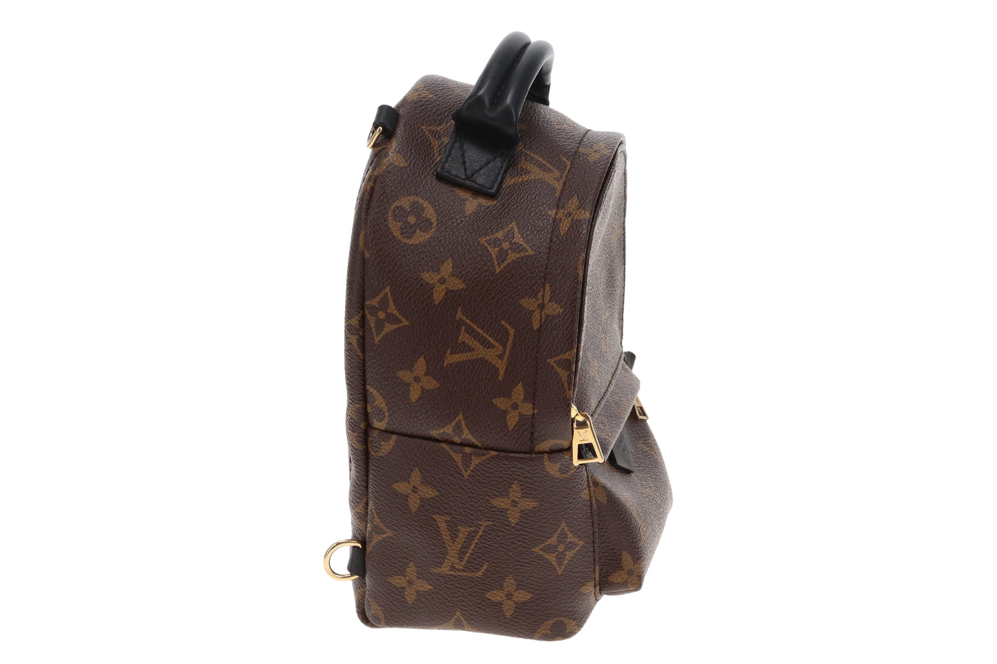 Louis Vuitton Palm Springs Mini Monogram (old model)