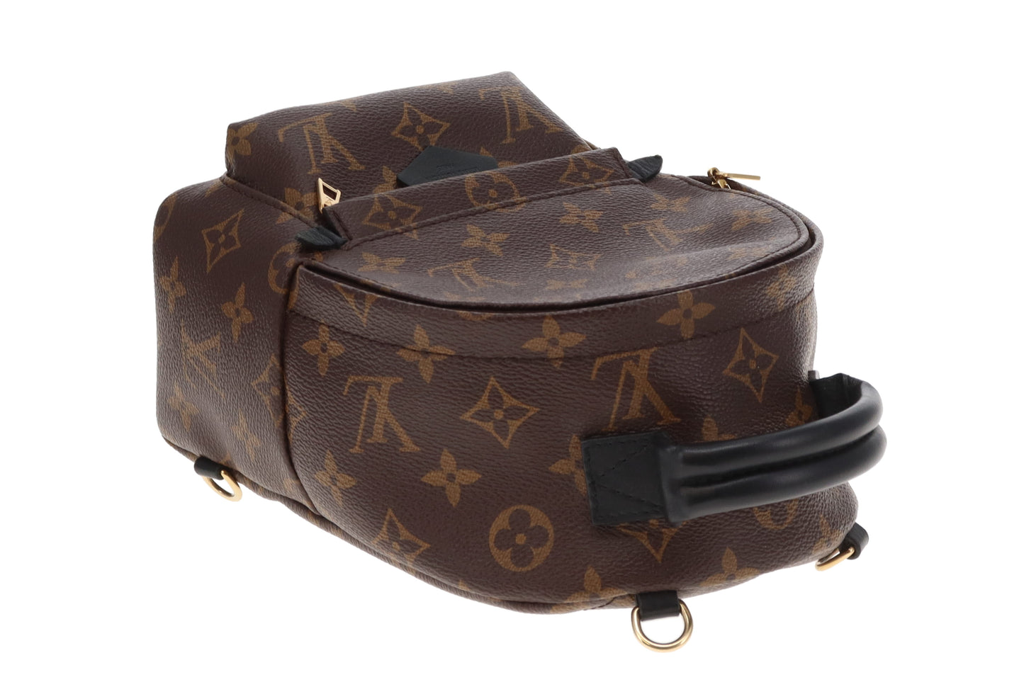 Louis Vuitton Palm Springs Mini Monogram (old model)