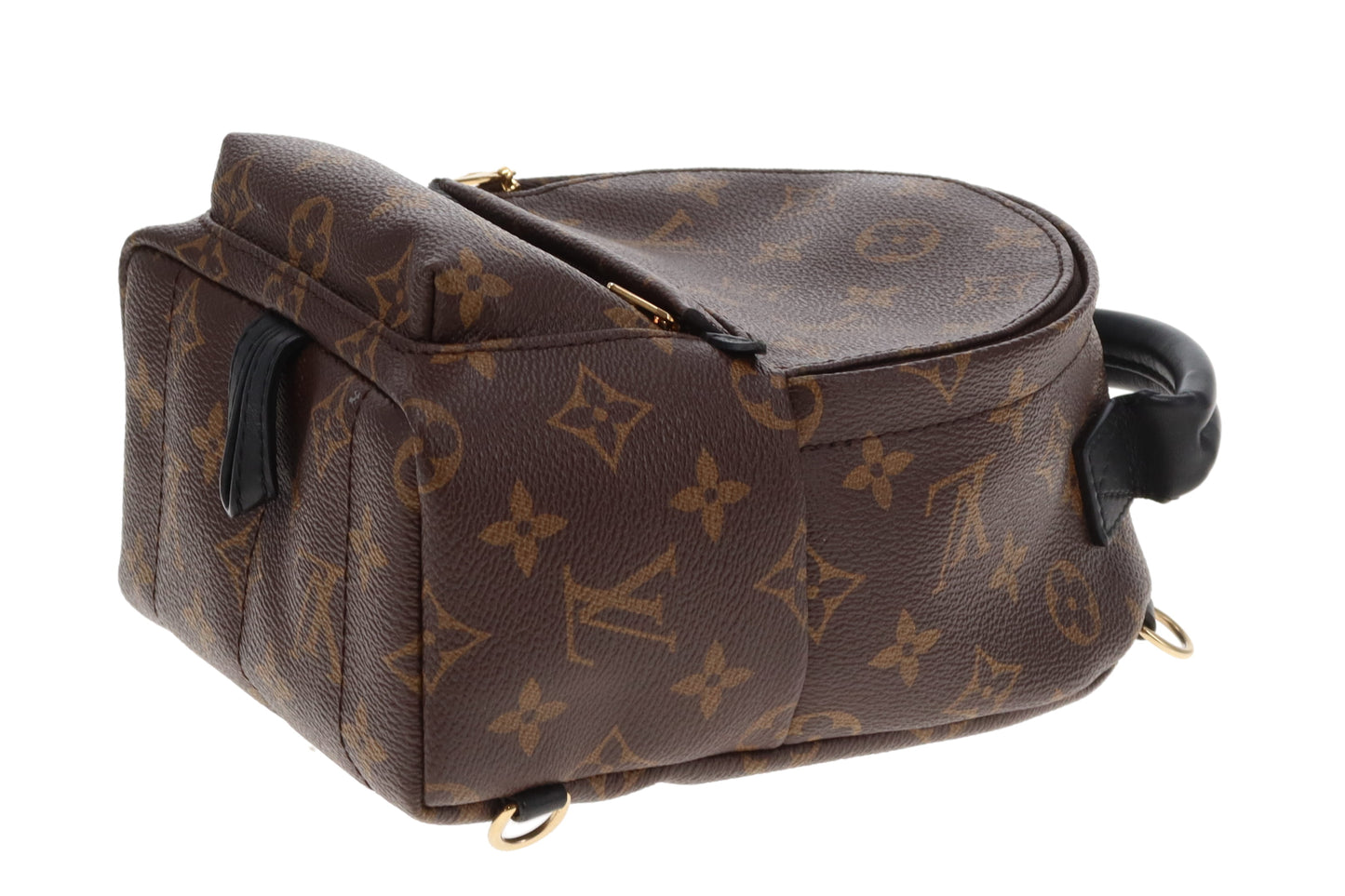 Louis Vuitton Palm Springs Mini Monogram (old model)