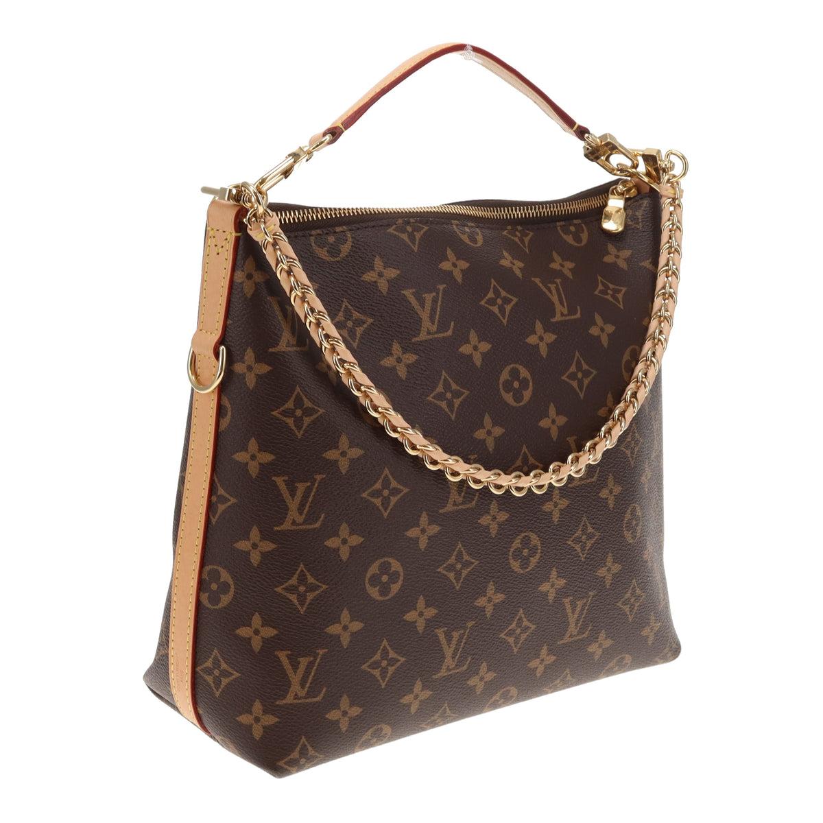 Louis Vuitton Multipass Monogram