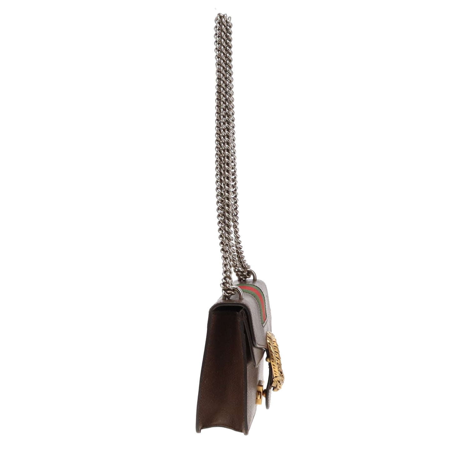 Gucci Brown Leather and Web Detail Mixed HW Mini Dionysus