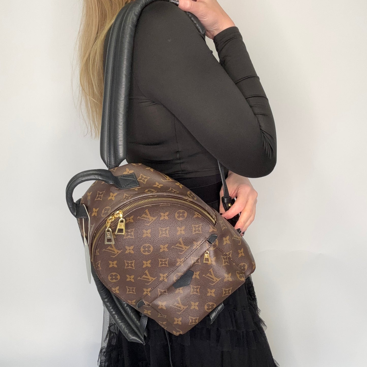 Louis Vuitton Palm Springs PM Monogram ML4119 - 2019
