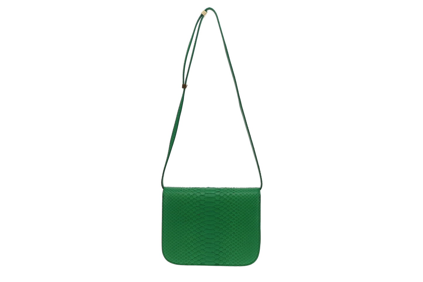 Celine Grass Green Medium Python Box Bag